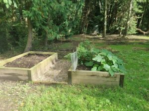 The Versatility of Timber Sleepers in Garden Design Across Suffolk, Essex, Norfolk, Cambridgeshire, and Hertfordshire